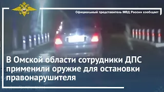 Ирина Волк: В Омской области сотрудники ДПС применили оружие для остановки правонарушителя