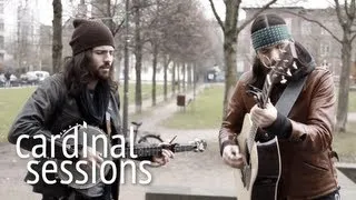 The Avett Brothers - Laundry Room - CARDINAL SESSIONS