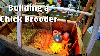 Homemade Chicken Brooder Build | Holds Over 100 Chicks