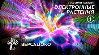 4-е СОСТОЯНИЕ ЖИЗНИ: Электронные растения. Часть 1/5 - ВЕРСАДОКО