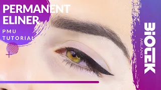 EYELINER TATTOO | Eyeliner Permanent Makeup Biotek Tutorial