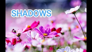 💐МЕЛОДИЯ ДЛЯ ДУШИ "SHADOWS" ДЖОВАННИ МАРРАДИ. классная музыка.