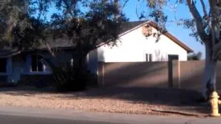 Coyote jumping a 6'-0" wall in Phoenix, Az.