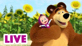 🔴 AO VIVO 👱♀️🐻 Masha e o Urso 👪 Reunião de família 🤗💖 Masha and the Bear