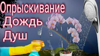 🆘 ОРХИДЕИ ЭТОГО БОЯТСЯ больше огня🔥❗️❗️❗️ ПАНИКА СТРАХ и УЖАС орхидей 💣В мире растений всё иначе