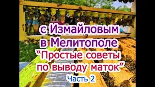 С Измайловым в Мелитополе простые советы по выводу маток