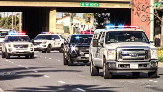 (x13) LAPD Metro K9 Units Responding