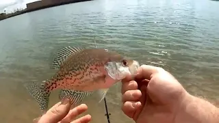 Crappie Fishing Behind Sam's Club Part 2