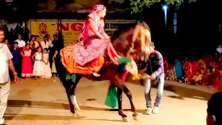 Rajasthani  horse dance Wedding  Bandoli Full HD