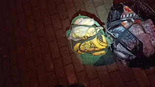 Первая попытка освоения мусорки в Москве
