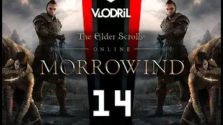 Morrowind Expansion - Let's Play The Elder Scrolls Online DLC Part 14 - Warden Wood Elf - MMORPG -
