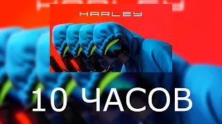 10 ЧАСОВ WhyBaby - 💖🔥HARLEY🔥💖