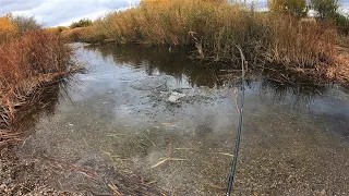 НЕФИГА СЕБЕ! ТОРПЕДА ХАПНУЛА В РУЧЬЕ! Не зря месили глину! Рыбалка на спиннинг