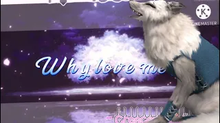 Why love me? WildCraft meme