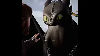 Remember me #httyd #toothless #hiccuphaddock #httyd3 @biansage