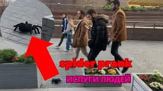 Огромный Паук Напал на Людей / Big Scary Spider PRANK