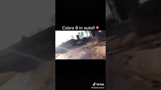 gekke cobra 8 in auto