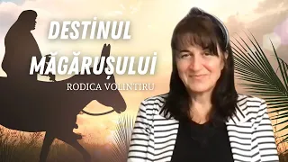 Destinul măgărușului - Rodica Volintiru