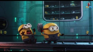 Despicable Me (2010) - Minions Best Funny Moments