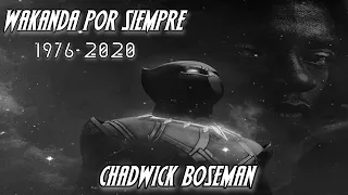 Tributo a Chadwick Boseman