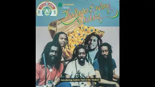 Wailers - Music Lesson - RAS LP The Never Ending Wailers 1993