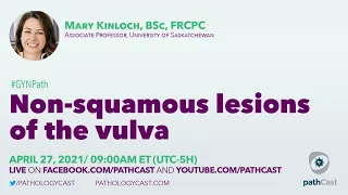 Non-squamous lesions of the vulva - Dr. Kinloch #GYNPATH