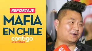 REPORTAJE | Mafia china en Chile: Karaoke, dinero y tráfico - Contigo en la Mañana