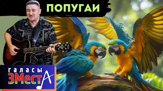 Попугаи  - Галасы ЗМеста