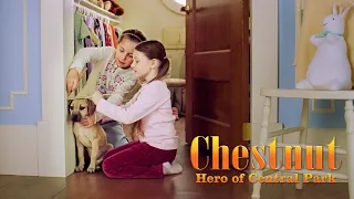 Chestnut: El Héroe de Central - Espanol Latino