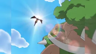 Garchomp vs. Torterra | Pokémon: Diamante y Perla