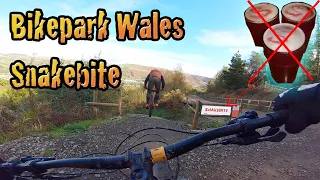 Bike Park Wales - Snakebite. Another Savage Red Trail