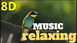 🎧8D-Music RELAXING  nature sound birds-meditation,calm,peace audio 8D