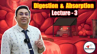 Digestion & Absorption l Lecture 3 l Biology l NEET