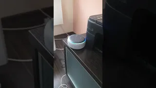 What happens when you ask alexa about the Coronavirus