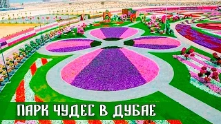 САД ЧУДЕС В ДУБАЕ | Dubai Miracle Garden