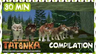 Tatonka en français 🐺 Compilation 30min 👀 Dessins animés de loups