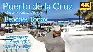 Tenerife 🏝️ Puerto de la Cruz Beaches Today 24 April 2024 Teneriffa