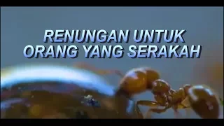 Renungan untuk orang yang serakah || Dijamin Anda bertaubat