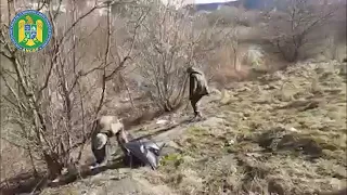 Acțiune de ecologizare Sighișoara