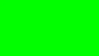 Cartoon cat Green screen Chroma Key by me