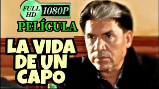 LA VIDA DE UN CAPO - PELICULA COMPLETA © 2020 MONTIEL TV