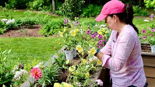 Planting Our Deck Boxes With Loads of Color