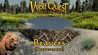 Beavers (Beeaaverrrss)