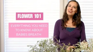 Flower 101: Everything you need to know about babies breath