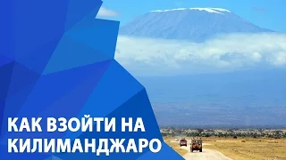 Вебинар - Как взойти на Килиманджаро за 6 дней