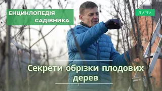 Секрети Обрізки Плодових Дерев. Як Правильно та Коли Обрізати Пловові Дерева?