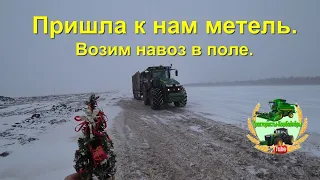 Пришла к нам метель.  Возим навоз в поле.