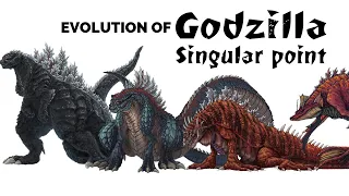 Evolution of Singular Point Godzilla I The Four Forms