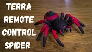 Terra Remote Control Spider