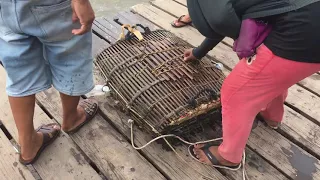 Buying crab at Kep market